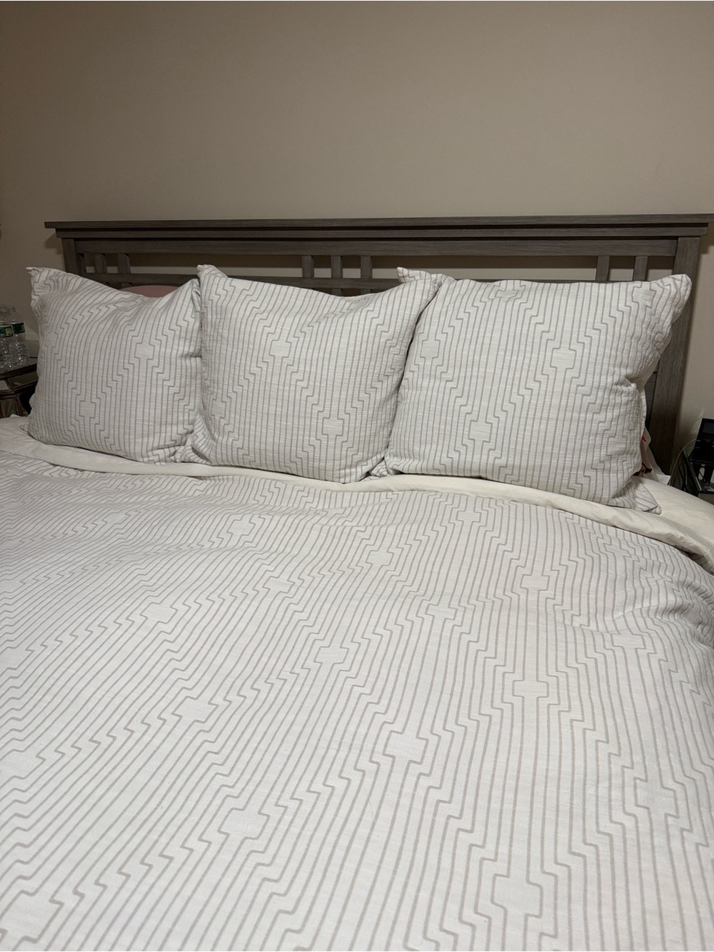 Three (3) West Elm Euro Shams